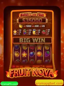 Descubra o Mundo de FruitNova: Um Jogo Inovador e Divertido